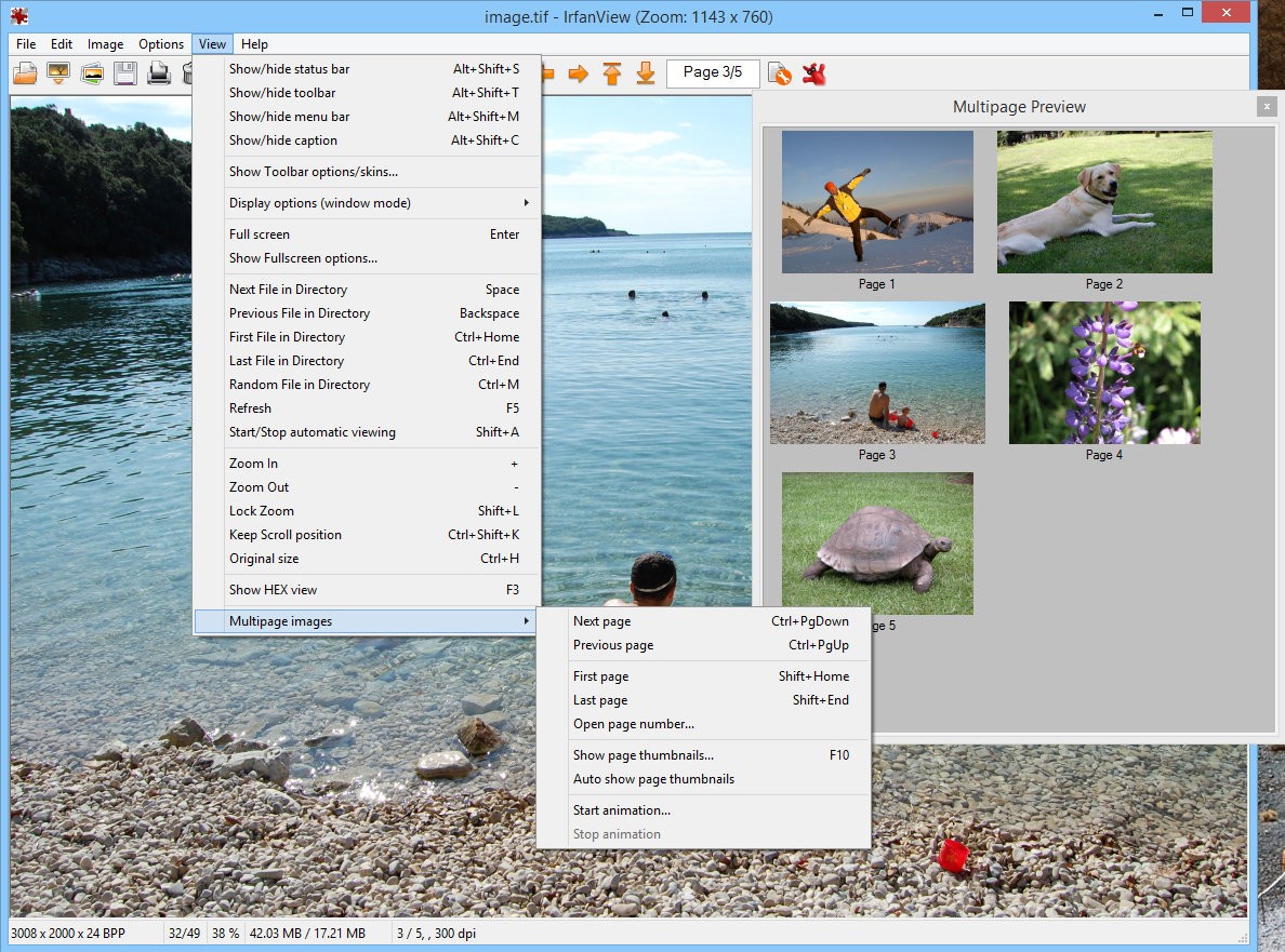 IrfanView 4.66 for windows download free